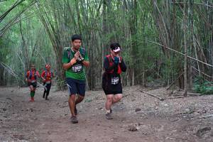 BIB: 3830, 385
                            <button type="button" onclick="openModal(4360691)" class="btn btn-primary btn-sm float-right btn-popup" data-toggle="modal" data-target=".modal-high-quality">
                        <i class="fas fa-shopping-cart"></i> Add to Cart
                    </button>
                                            <button type="button" onclick="isThisMe(4360691, true)" class="btn btn-success btn-sm float-right btn-popup btn-isme hidden" data-toggle="tooltip" data-placement="bottom" title="นี่คือรูปของคุณใช่ไหม คลิกที่นี่เพื่อเอาเข้าอัลบั้ม">
                        <i class="fas fa-plus"></i> Add to album
                    </button>
                    <button type="button" onclick="isThisMe(4360691, false)" class="btn btn-warning btn-sm float-right btn-popup btn-isnotme hidden">
                        <i class="fas fa-ban"></i> Remove from album
                    </button>